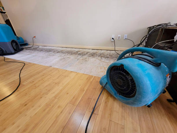 Professional Water Removal technician working in Tubac, AZ